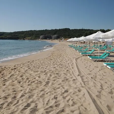 Nedev's In Kavatsi Area