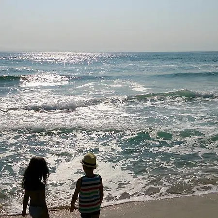 Nedev's In Kavatsi Area *