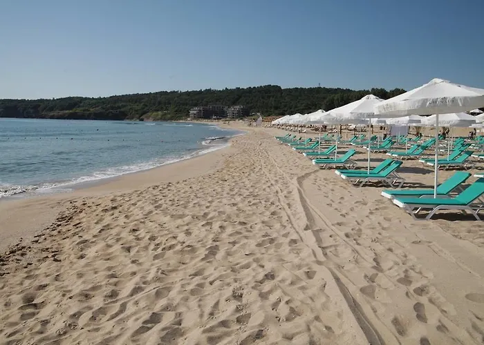 Nedev's In Kavatsi Area