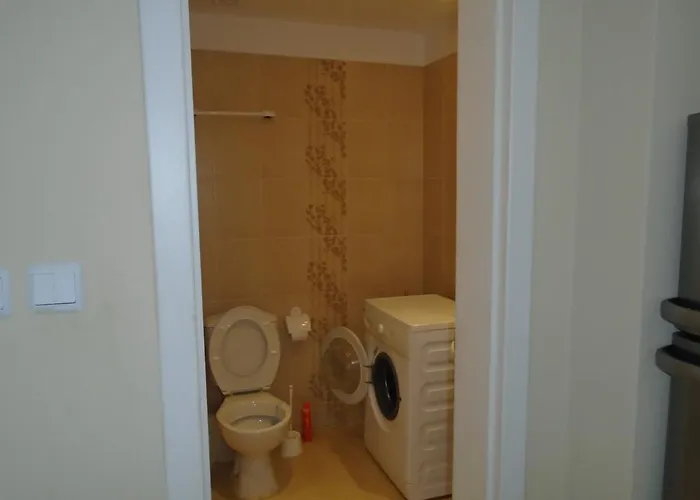 Nedev's In Kavatsi Area